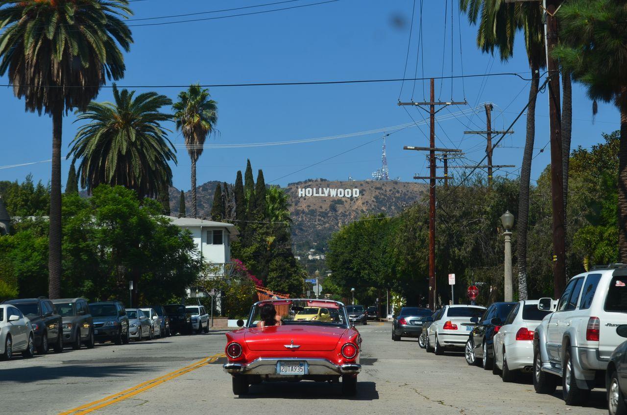 View of the Hollywood Sign from a palm-lined Los Angeles street, a popular destination for British expats moving to the US.