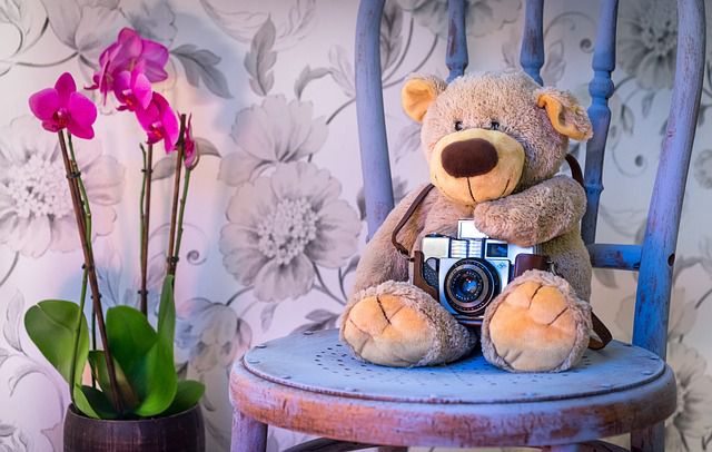 An old teddy bear with a camera on a blue chair, next to some flowers.