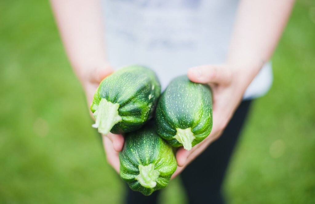 Zucchini Courgette