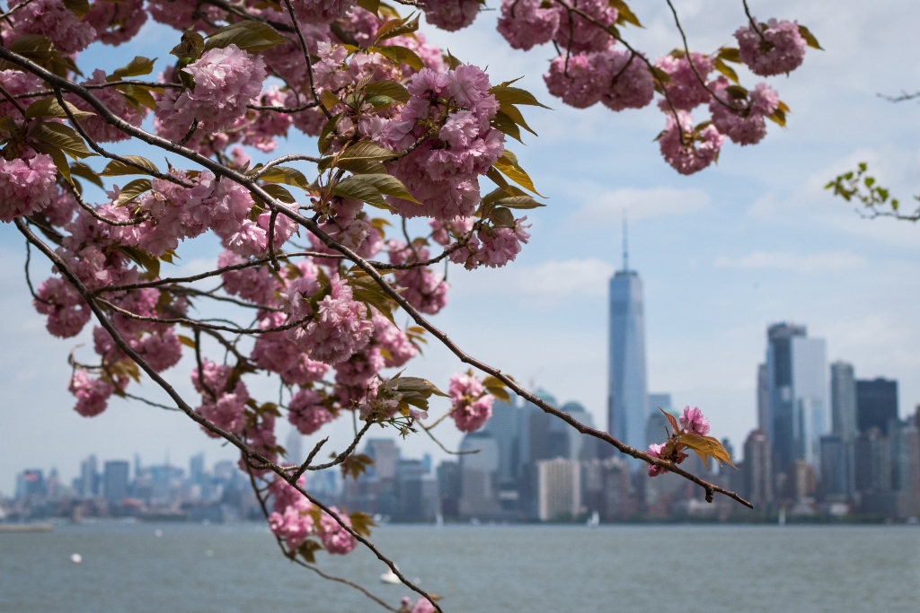 8 Amazing Things to Do in NYC This Spring