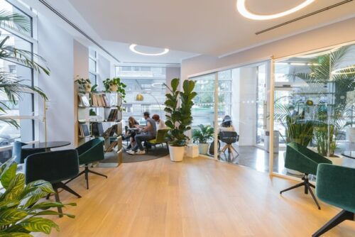 Office space design trends encourage embracing biophilia.