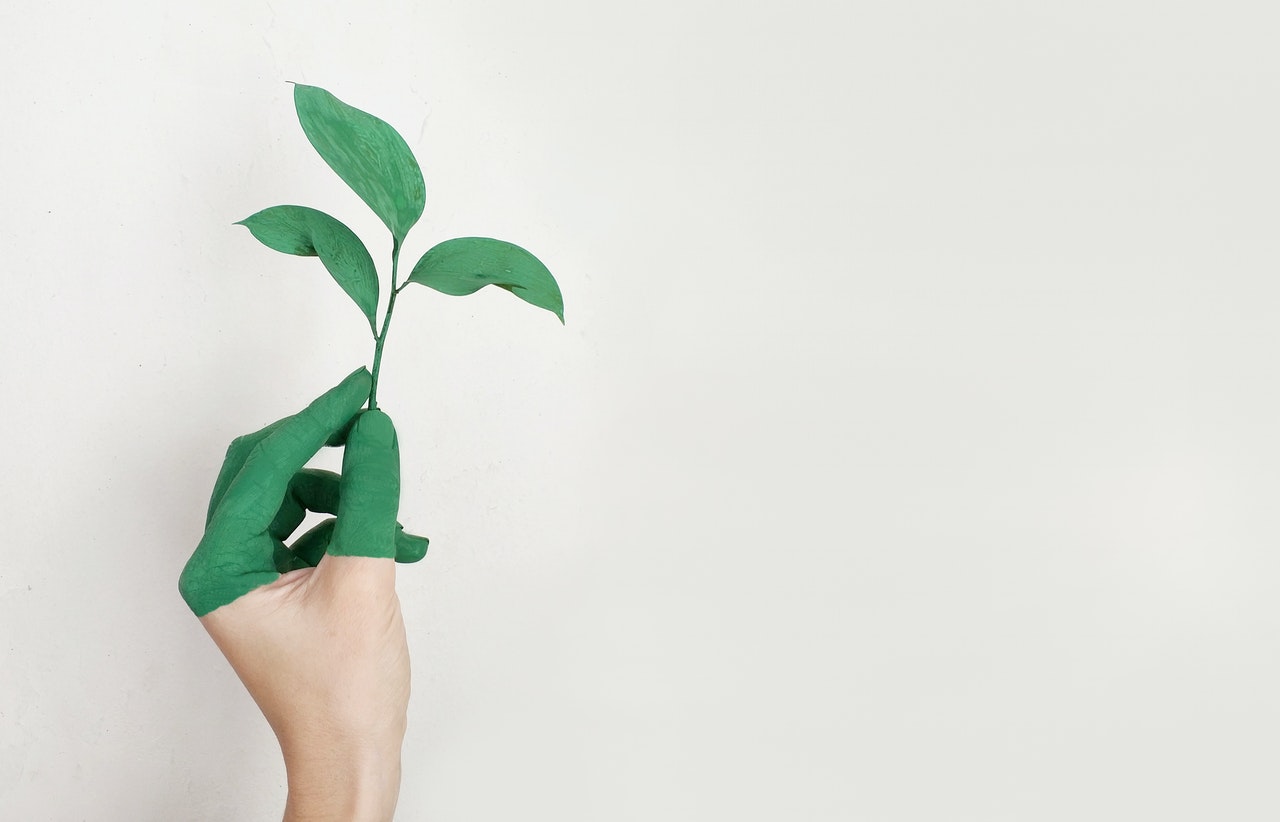 Eco-Friendly Steps Your Business Can Make Moving Forward