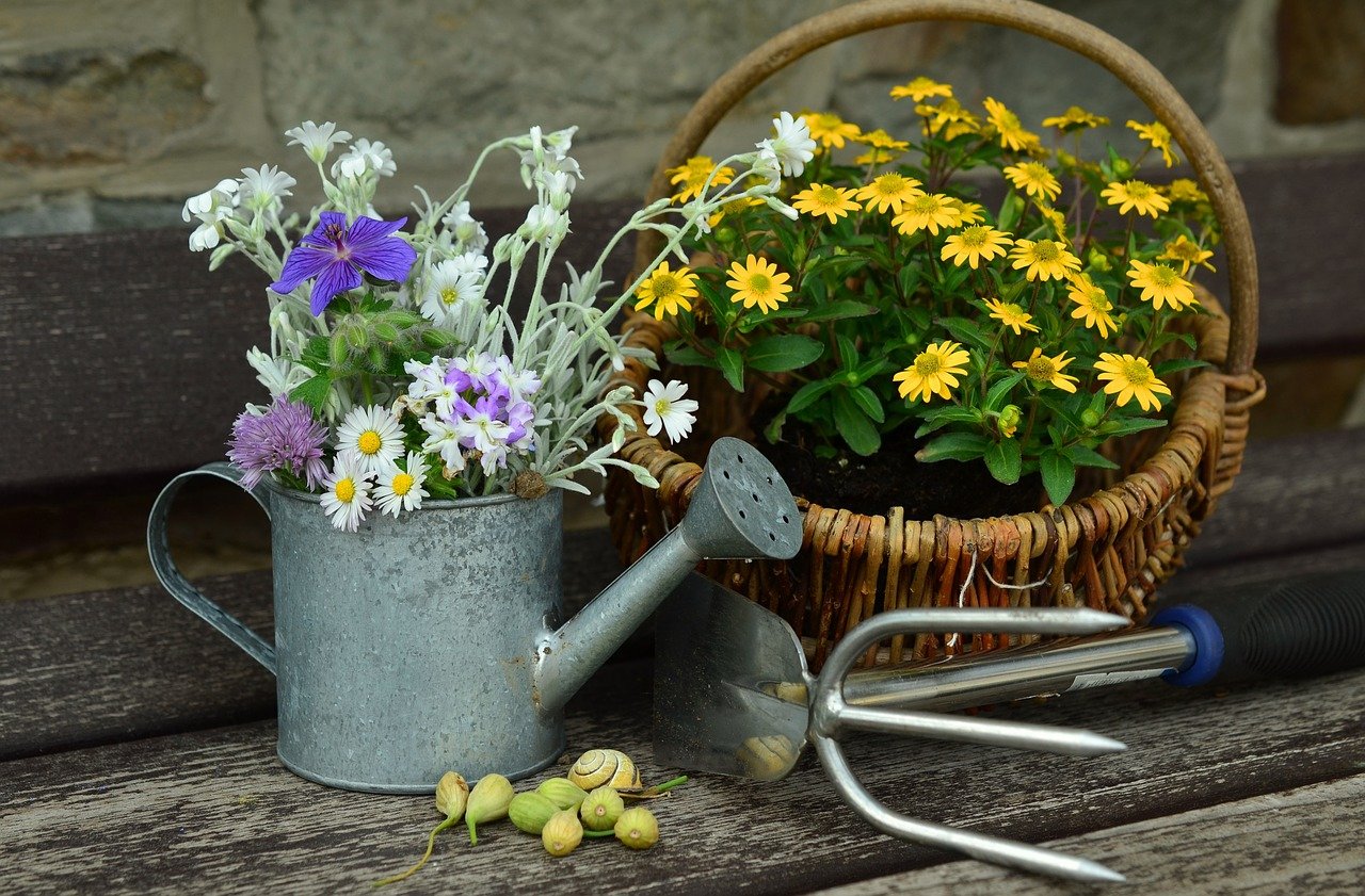 watering can flowers and gardening tools