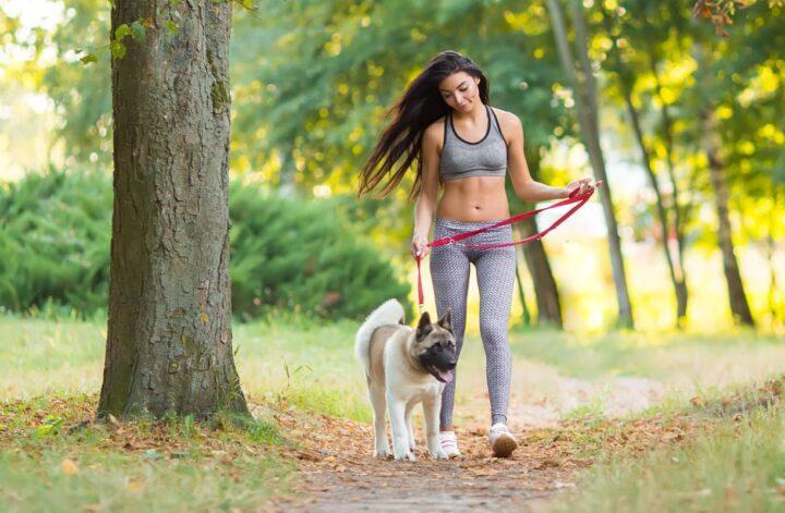 4 Good Exercises You Can Do With Your Dog