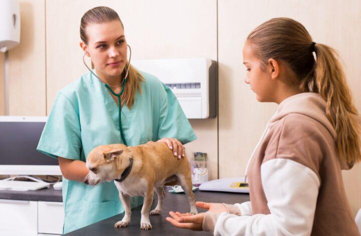 5 Helpful Tips To Keep Your Dog Disease-Free