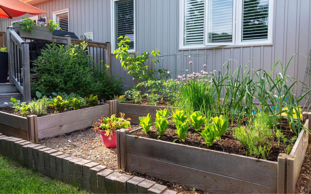 How To Turn Your Home Into a More Sustainable Space