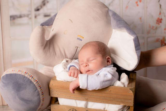 Baby in a wooden box together with an elephant plush toy.