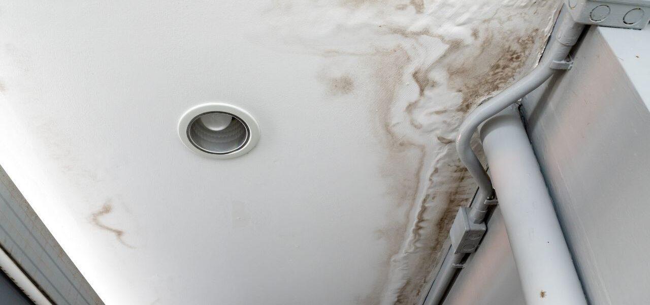 Mistakes To Avoid if You Notice Water Damage in Your Home