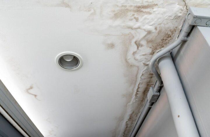 Mistakes To Avoid if You Notice Water Damage in Your Home
