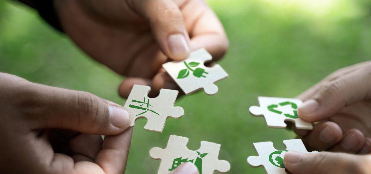 The Everyday Habits That Help Save the Planet