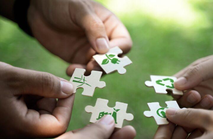 The Everyday Habits That Help Save the Planet