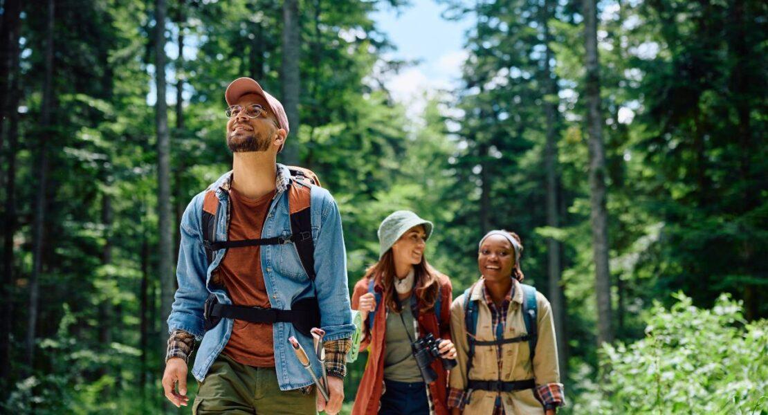 A Guide to the Best Summer Activities in Blue Ridge, GA