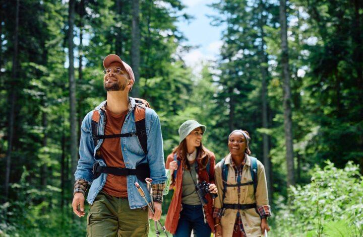 A Guide to the Best Summer Activities in Blue Ridge, GA