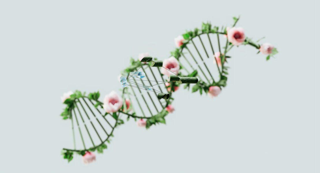 genome