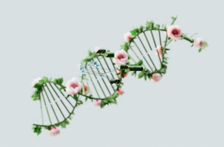 genome