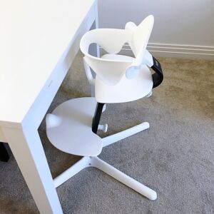 First with the restrain of the Nomi Mini...